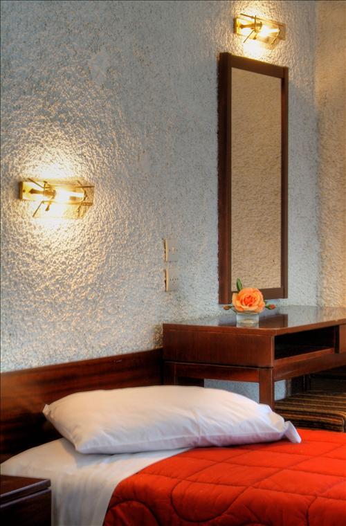 Hotel Zeus Delphi Room photo